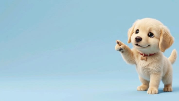 5 Simple Ways to Make Your Dog’s Day More Enriching